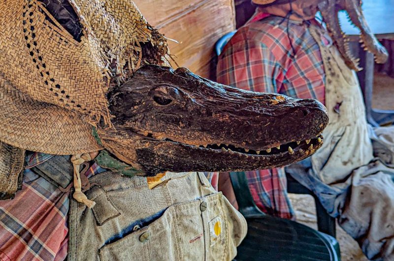 Alligatori vestiti al Gator Park nelle Everglades in Florida (USA). Foto sul blog di viaggi 'Nerd in Spalla: viaggiatori poco seri' dedicato al pop-culture tourism
