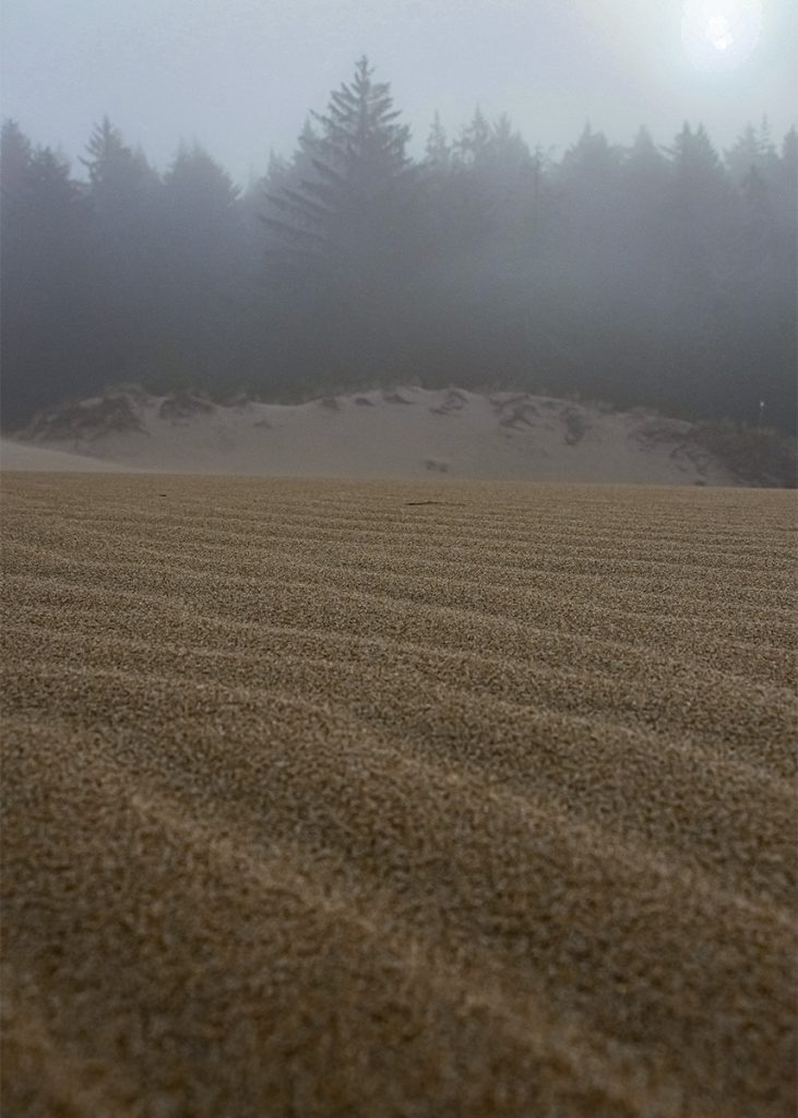 Le Oregon Dunes furono l'ispirazione per il deserto di 'Dune' di Frank Herbert. Foto nell'articolo del blog di viaggi dedicato al pop-culture tourism 'Nerd in Spalla'.