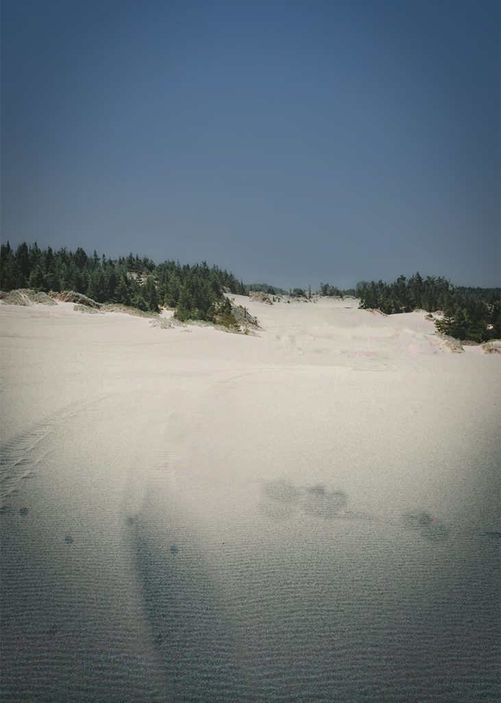 Le Oregon Dunes (Stati Uniti) furono l'ispirazione per 'Dune' di Frank Herbert. Foto nell'articolo del blog di viaggi dedicato al pop-culture tourism 'Nerd in Spalla'.