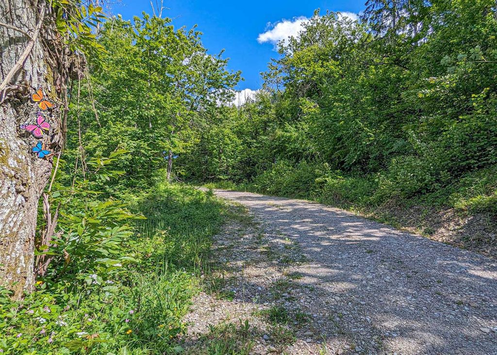 Mistero Verde, un percorso nel bosco a Corniglio.  Foto sul blog di viaggi "Nerd in Spalla: viaggiatori poco seri" dedicato alla pop culture
