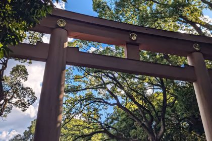 Torii giapponese a Tokyo. Foto su "Nerd in Spalla: viaggiatori poco seri".