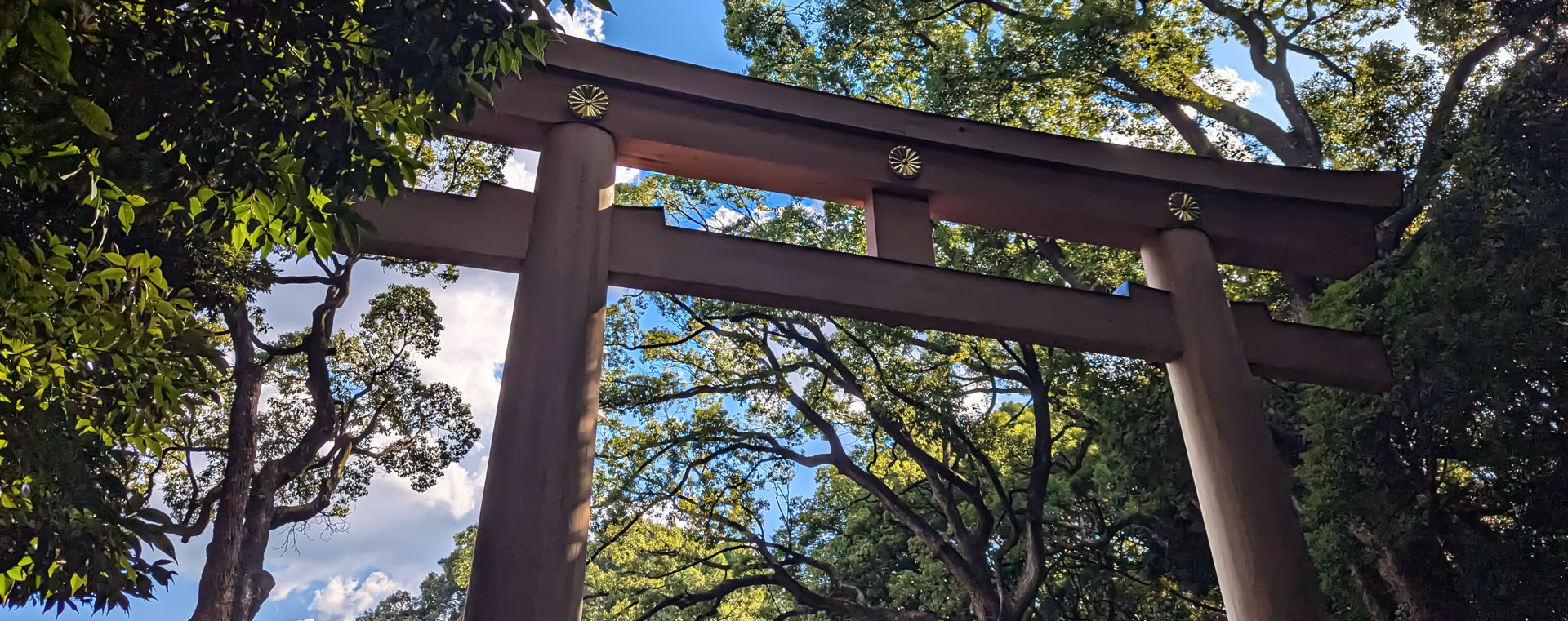 Torii giapponese a Tokyo (Giappone). Foto su "Nerd in Spalla: viaggiatori poco seri".